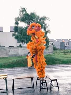 Orange Lion Dance Performer Standing on Bench with Monk Puppet During Chinese New Year Celebration in Residential Area