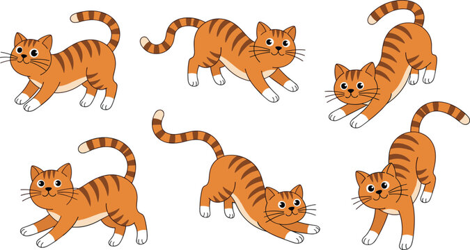 Cute Cartoon Tiger Cat Set with Different Poses for Animal Illustrations and Kids&rsquo; Artwork Projects