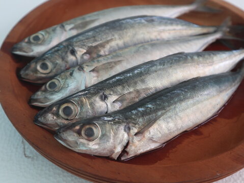Fresh round scad fish or mackerel scad prepared for cooking or grill
