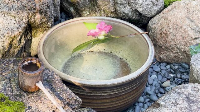 Water Fills a Traditional Japanese Tsukubai Basin with Camellia Flower