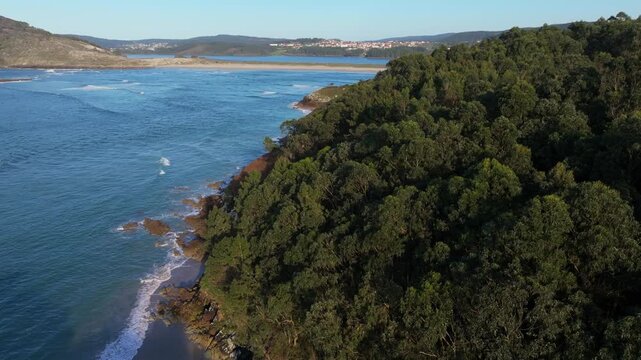 Dense Green Forest On Rugged Coastline Near Praia das Vacas In Galicia, Spain. descending drone shot