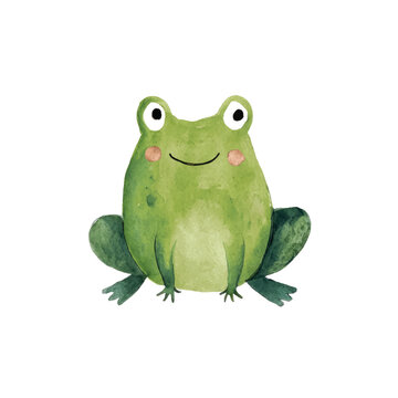 Smiling Green Frog Sitting Alone.