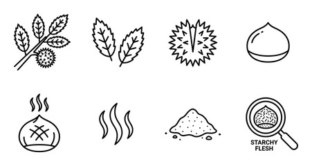 Fototapeta premium Chestnut collection icons set line art healthy food objects ingredient food preparation symbols isolated.