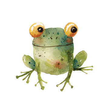 Green Frog With Big Eyes Sitting.