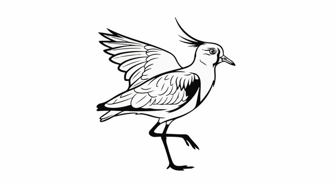 Line art of a bird with distinctive crest and spread wings, walking
