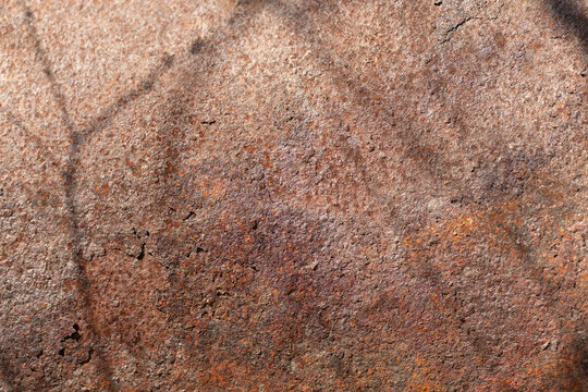 Oxidized metal with shadow details. Weathered metal surface featuring rust and tree shadow. Rusty metal texture displaying tree shadow with warm earthy tones and grain
