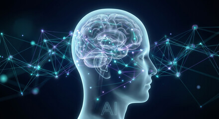 Obraz premium human brain scan