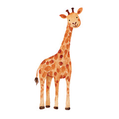 Fototapeta premium Toy giraffe standing on white background.