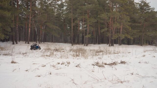 Atv in snowy forest clearing lone vehicle idling near pine line, gentle snowfall, barren grass poking through snow, cautious scout exploring remote trail, muted winter light, wide panoramic framing