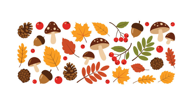 Horizontal pattern of autumn nature elements like colorful leaves, mushrooms, pinecones, and red berries on a white background.