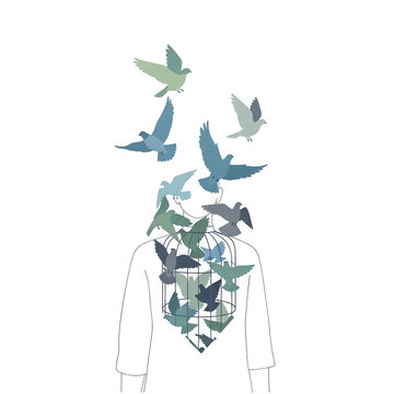 Birds escaping from a cage head.