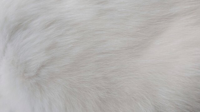 Close-up of soft white faux fur texture background