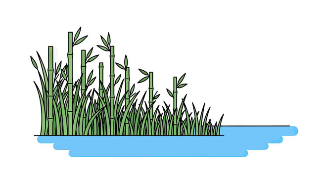Minimalist vector illustration of green bamboo stalks and wild grass growing on a riverbank