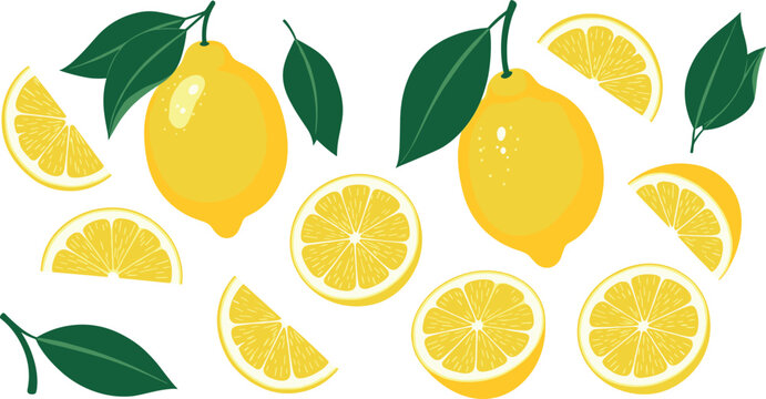 Fresh Lemons and Slices Illustration with Green Leaves for Citrus, Food, and Healthy Lifestyle Graphics