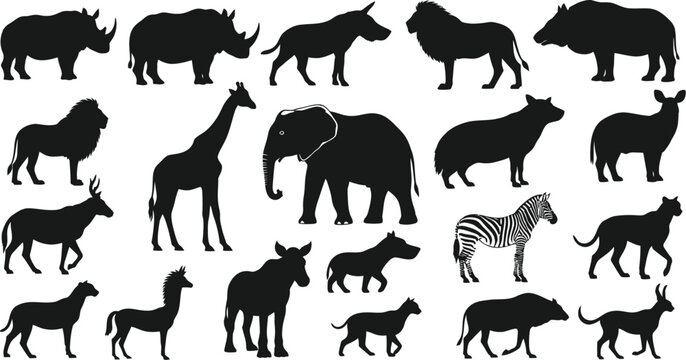 A collection of animal silhouettes on a white background