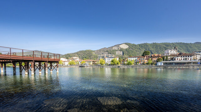 Bosco dei Tassodi di Paratico, Lago d'Iseo, Lombardia - Foresta di cipresso calvo in primavera