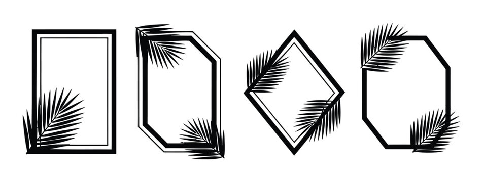 Four different black and white frames with palm leaves