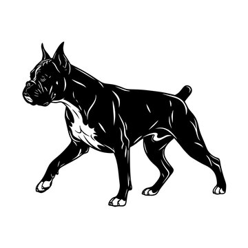Silhouette of a sitting corgi dog with fluffy tail curled under its body