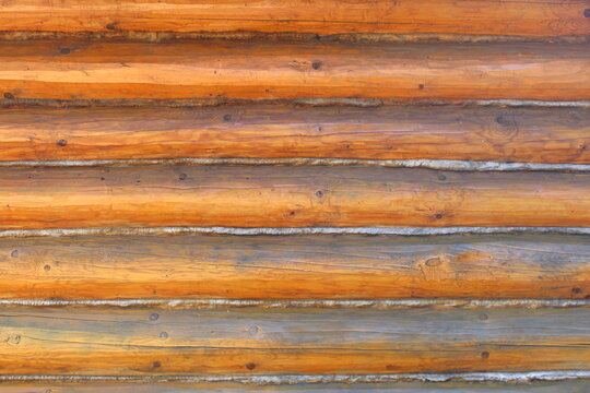 Texture of a wall built from logs.