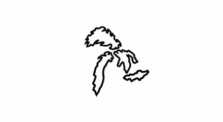 Obraz premium Outline of a palm tree with fronds against a white background