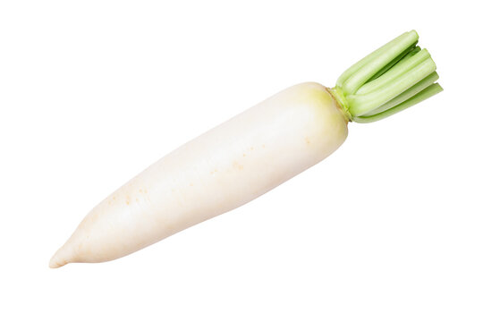 White radish on transparent background.