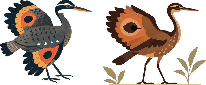 Sunbittern Bird &ndash; Elegant Tropical Bird Vector Illustration