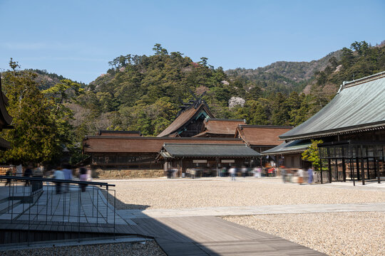 出雲大社の境内と社殿が織りなす静かな日本の風景