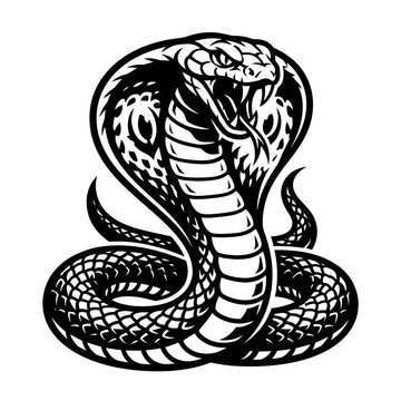 illustration of a cobra snake in a striking pose with its hood expanded. This clean, minimalist design conveys danger, authority, and vigilance, perfect for security branding, sports mascots