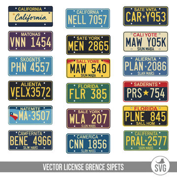 Collection of Vintage and Modern License Plates from Various States