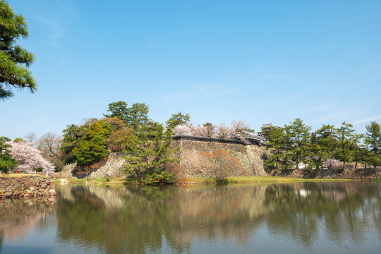春の松江城を映すお堀と穏やかな水辺の風景