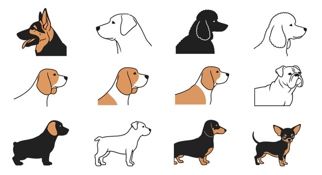 Dogs Breeds and Heads