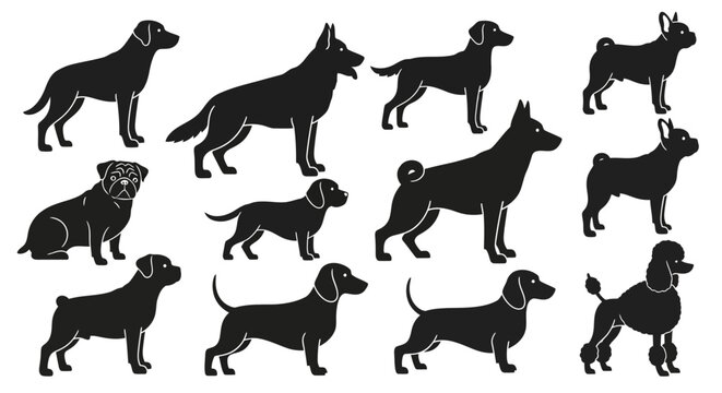 Various Breeds of Dogs in Different Poses