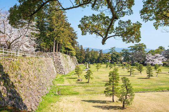 松江城の石垣沿いに広がる緑豊かな城内風景