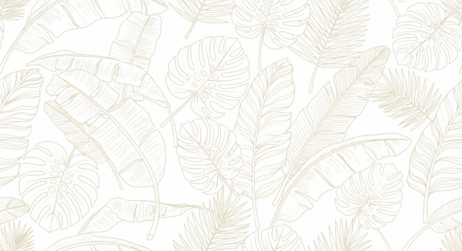 White Background Texture Pattern.