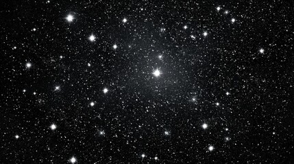 Fototapeta premium A dense field of bright stars scattered across the dark night sky, showcasing cosmic beauty and vastness of outer space, starry sky black background