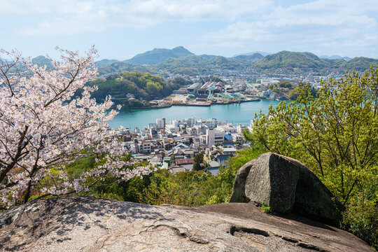 広島県尾道市の千光寺公園から見渡す春の尾道風景
