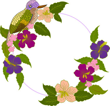 A vibrant and intricately detailed illustration of two symmetrical hummingbirds facing each other, designed with decorative feather patterns and a rich blend of colors