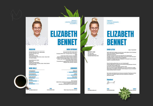 Creative Resume Layout