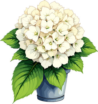 White hydrangea plant illustration with blooming flowers and green leaves, decorative botanical artwork for home decor, garden design, and floral styling