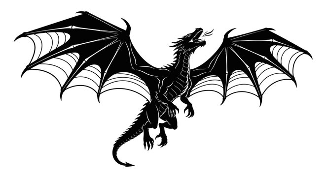 Black dragon with wings spread wide.