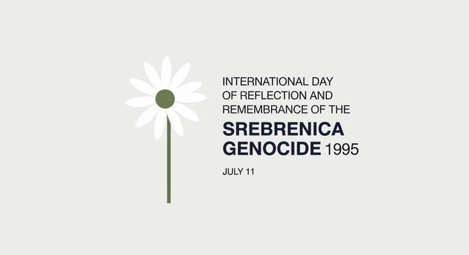 Flower of Remembrance: A single white daisy, a symbol of peace and remembrance, stands tall next to text commemorating the International Day of Reflection and Remembrance of the Srebrenica Genocide.