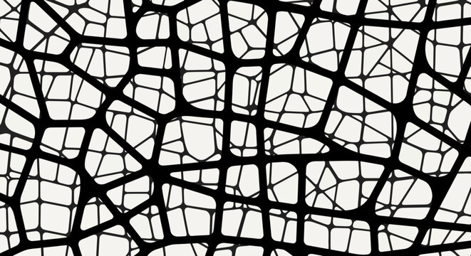 Abstract Voronoi Pattern Black and White Geometric Network Texture