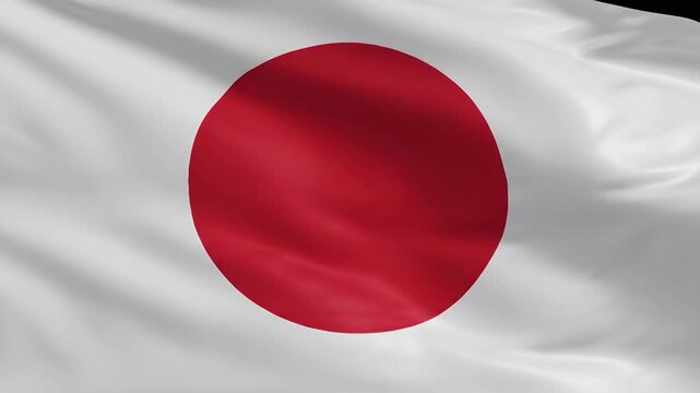Japan Flag Official Symbol National Identity