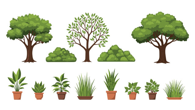 Diverse set of green leafy trees, shrubs, and various indoor potted plants in brown clay pots for landscaping, nature, and home decor themes.
