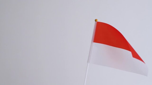 Monaco flag waving on white background. Monegasque flag in slow motion.