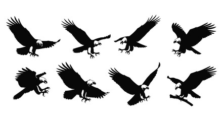 Obraz premium Set of 8 Bald Eagle Silhouettes in Mixed Flying Perching and Soaring Poses Isolated on White Background