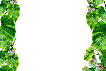 tropical green leaves frame © raviwan