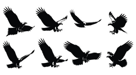 Obraz premium Set of 8 Eagle Silhouettes in Hunting and Diving Action Poses Isolated on White Background