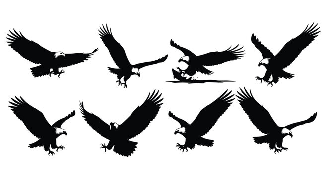 Set of 8 Bald Eagle Silhouettes in Landing and Attacking Poses Isolated on White Background