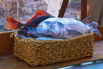 Obraz premium Fresh raw fishes ( sea ​​bass, sea bream ) in basket on table
